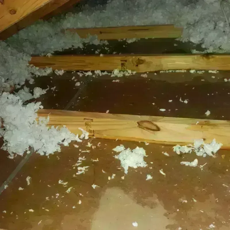 Attic Water Damage in Fremont, CA