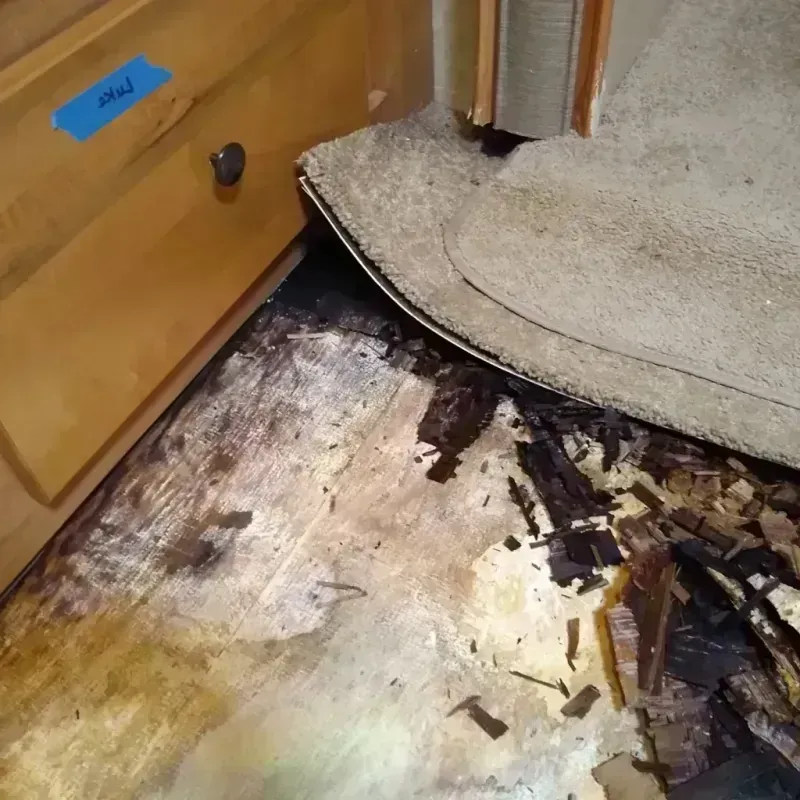 Wood Floor Water Damage in Fremont, CA